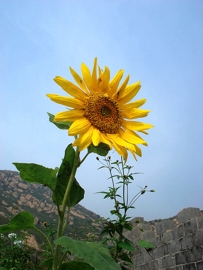 DSC04763.JPG