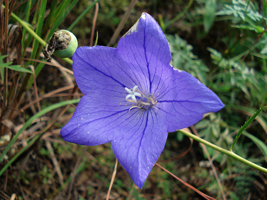 DSC04859.JPG