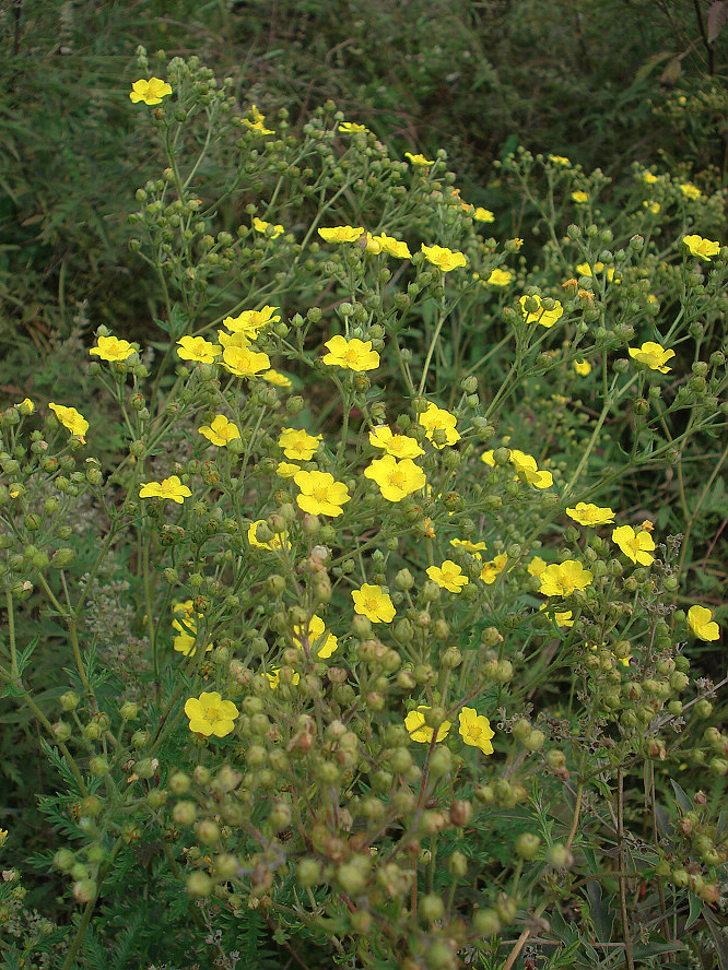 DSC04885.JPG
