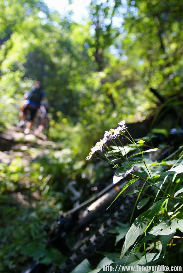 电池估计此刻趴地上的