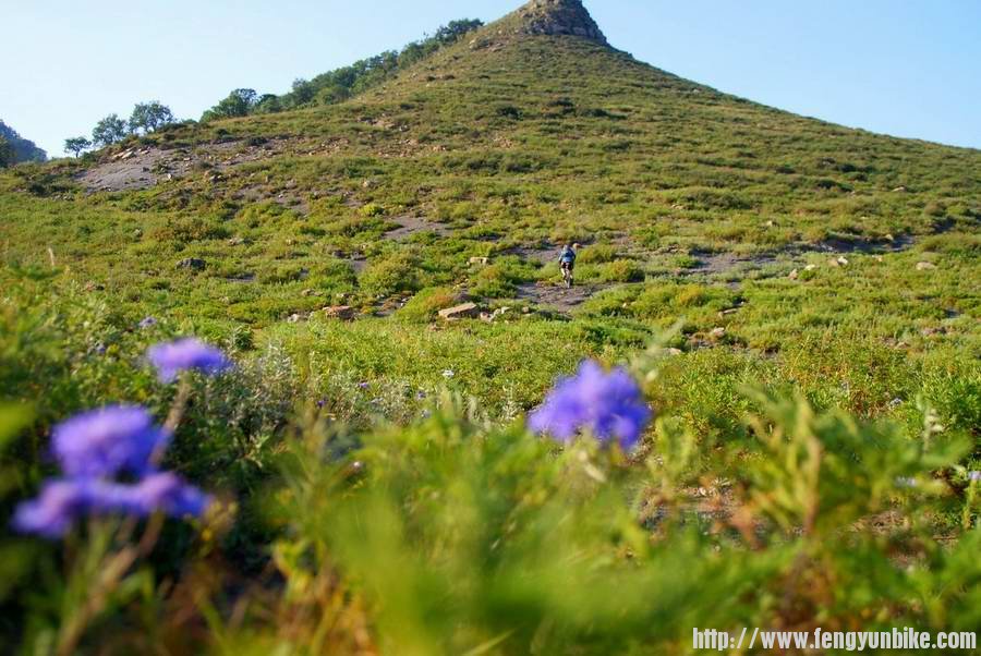 那人是我 我是扣