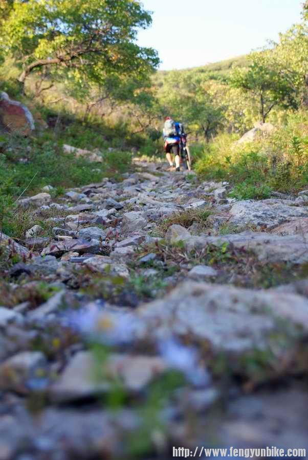 我抽筋了都。。