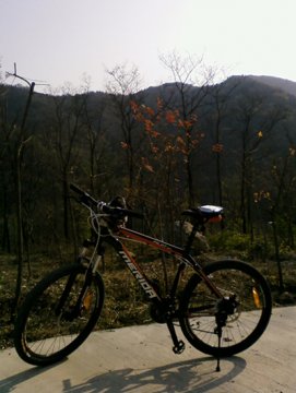 2010款美利达 领航者530（已出）