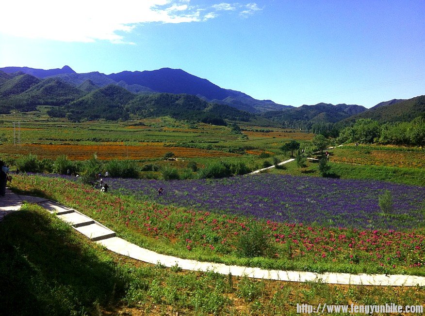 四季花海估计是春天去更好？去过的朋友能讲讲~？