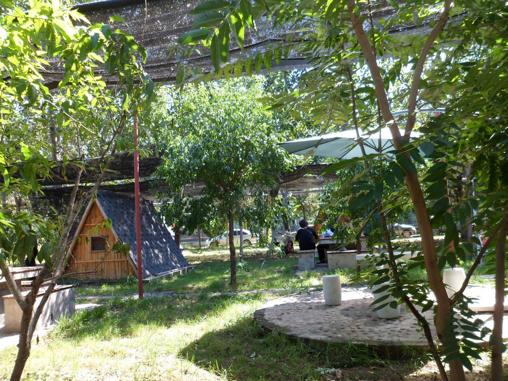 环境不错，还有小茅屋