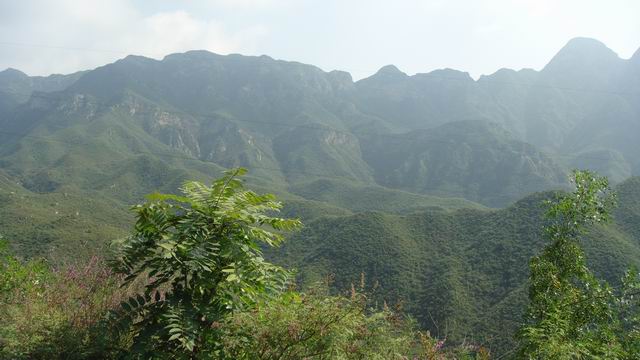 调整大小 DSC01567.JPG