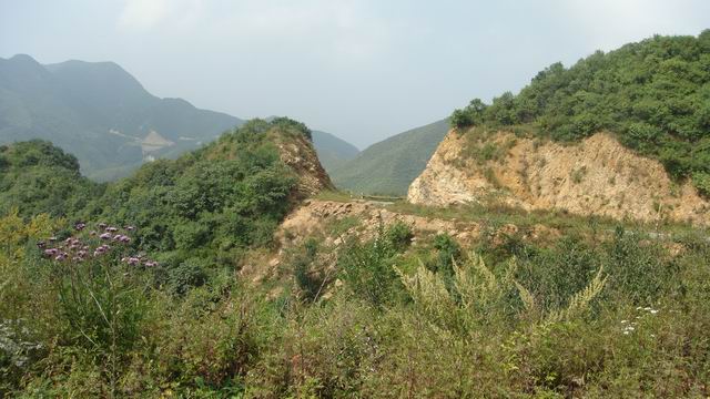 调整大小 DSC01573.JPG