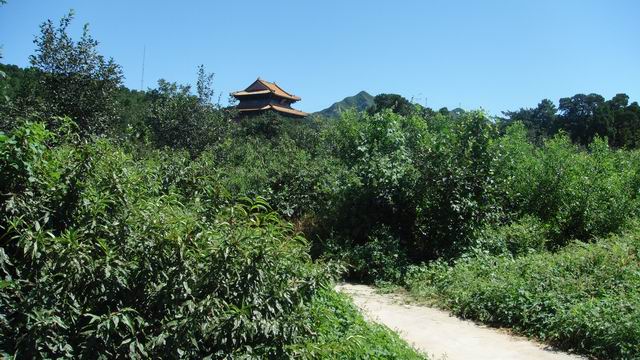 调整大小 DSC01439.JPG