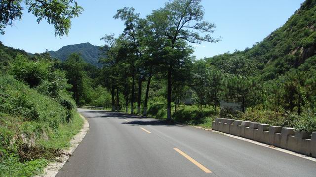 调整大小 DSC01450.JPG