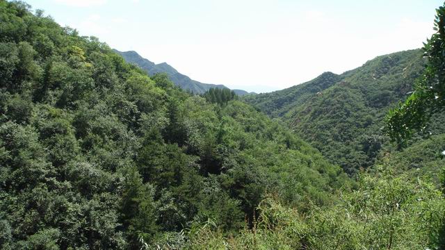 调整大小 DSC01461.JPG