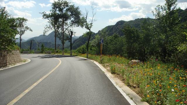 调整大小 DSC01487.JPG