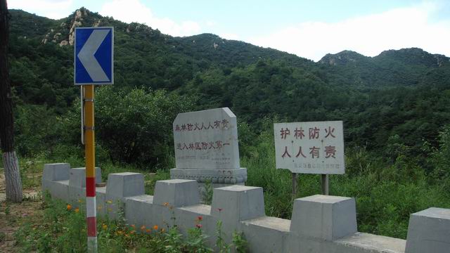 调整大小 DSC01502.JPG