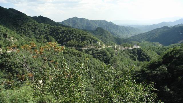 调整大小 DSC01507.JPG