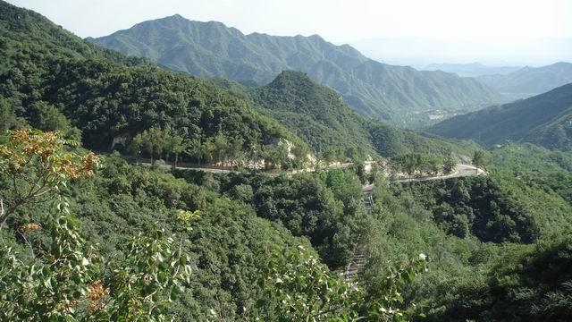 调整大小 DSC01515.JPG