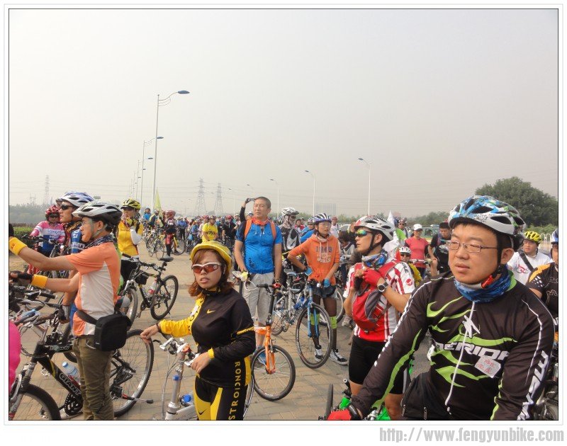 看到老虎车友了