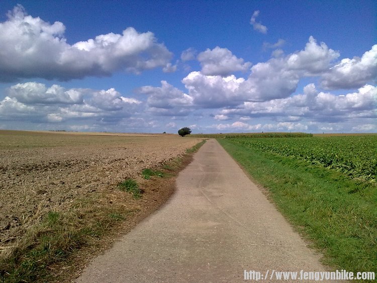 蓝天白云+田地 1
