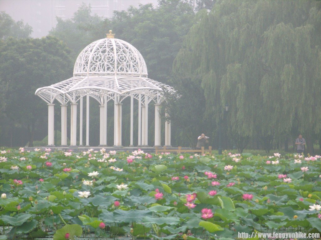 SNV10925 - 复制.JPG