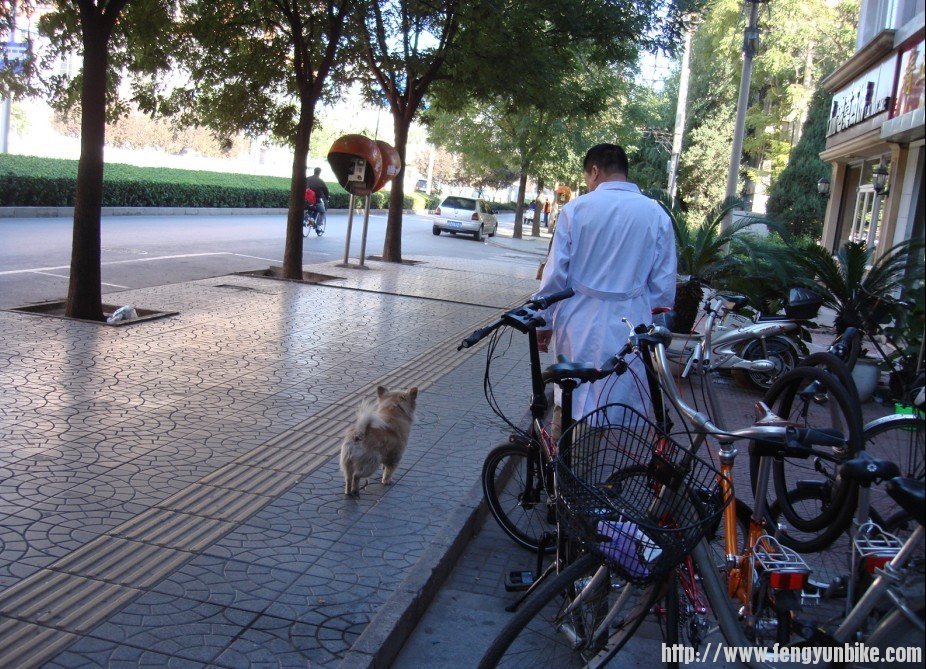 和旁边眼镜店的师傅散步呢