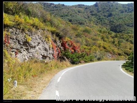 2012-10-01 13.08.49.jpg