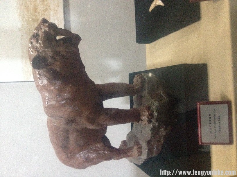 猜猜看，ice age里的哪位？