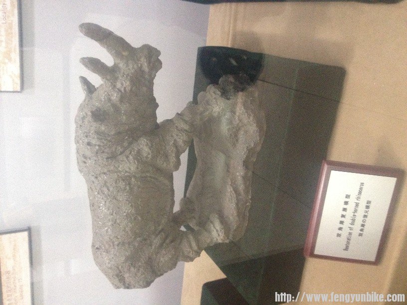 ice age里也有，想想···