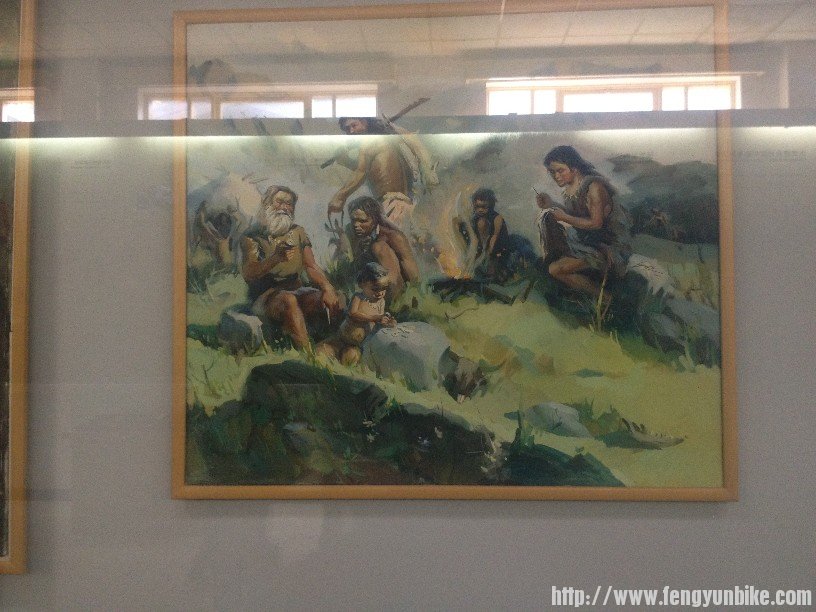 依稀记得课本上有这幅图