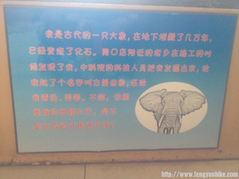 好幼稚的大象自白