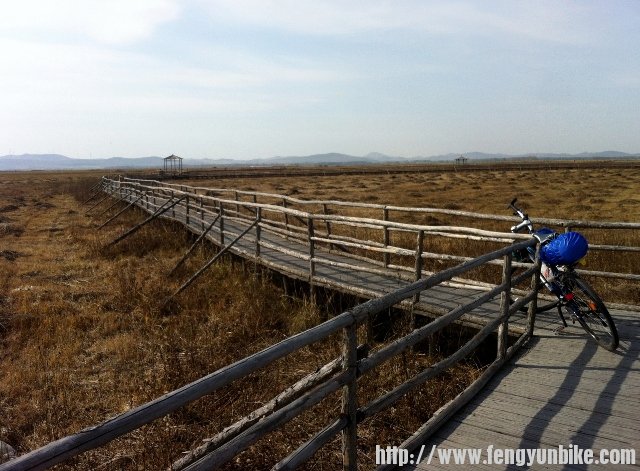 五花草甸木栈道