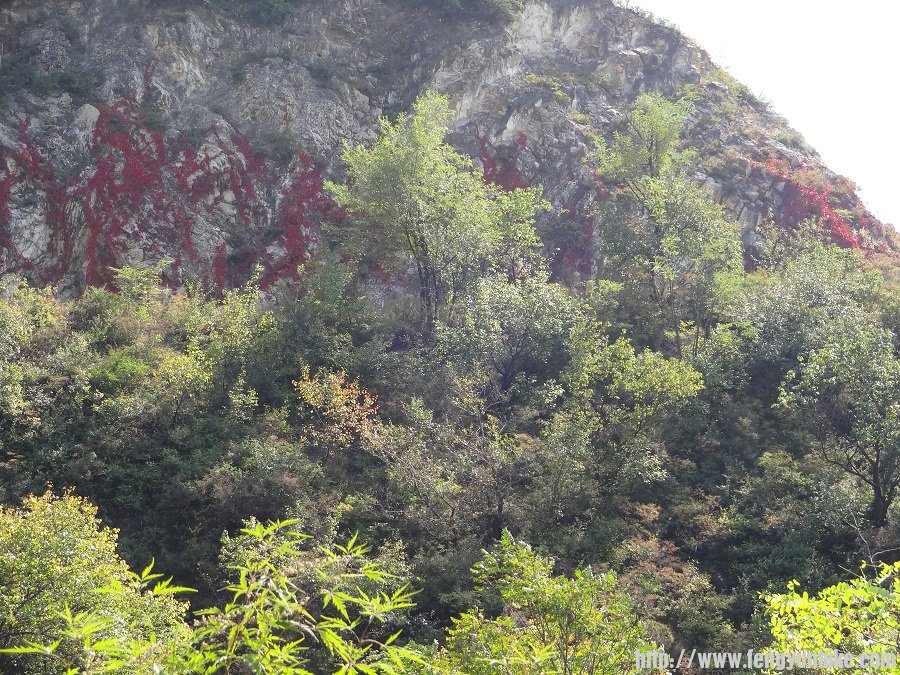 解字石沿途秋色