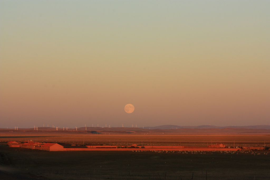 （北京的摄狼）