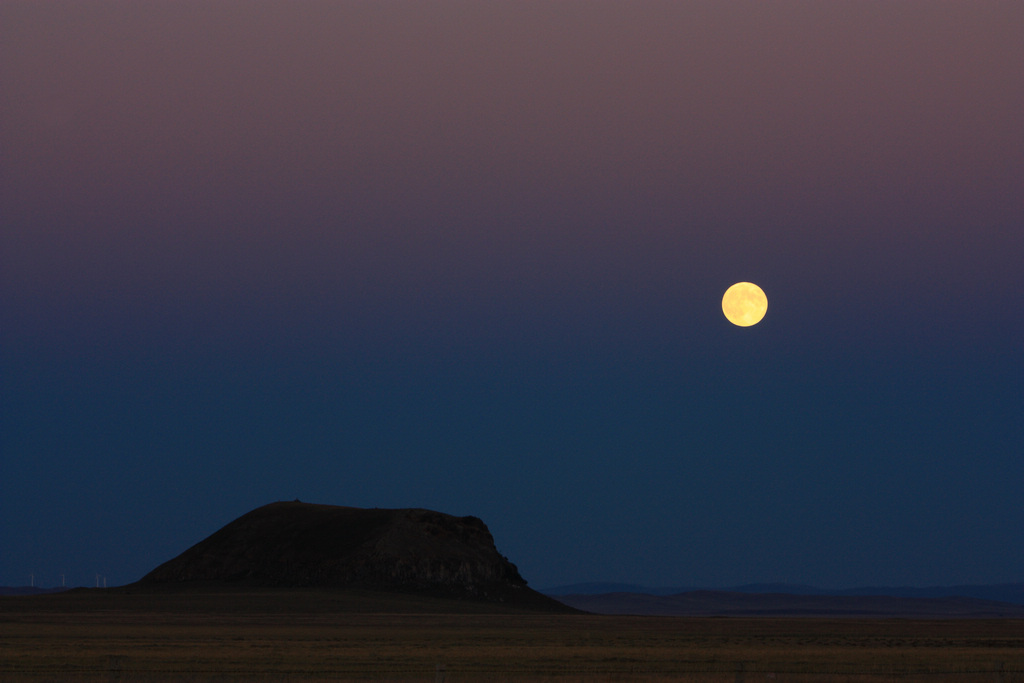 （北京的摄狼）