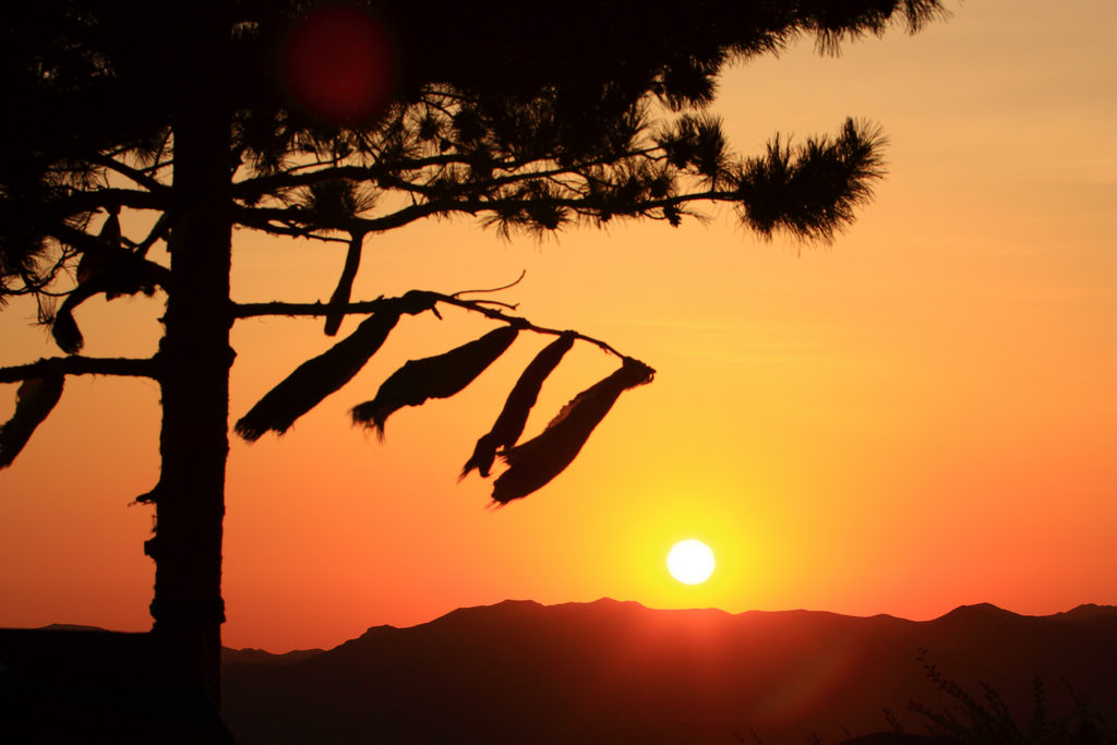 （北京的摄狼）