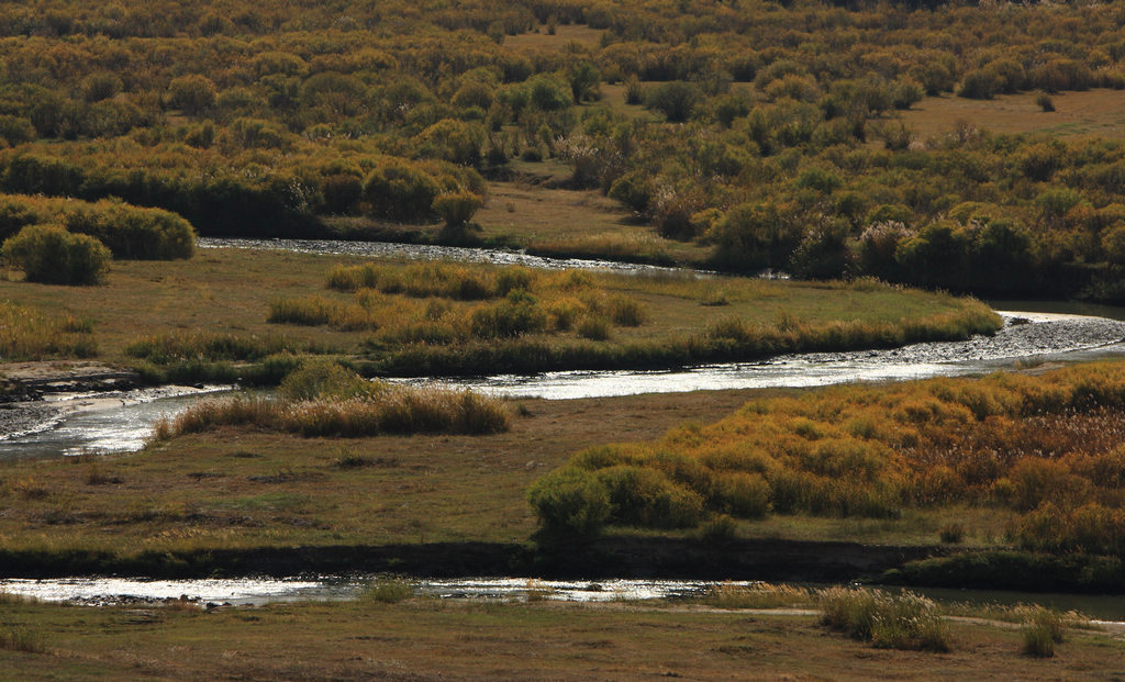 （北京的摄狼）