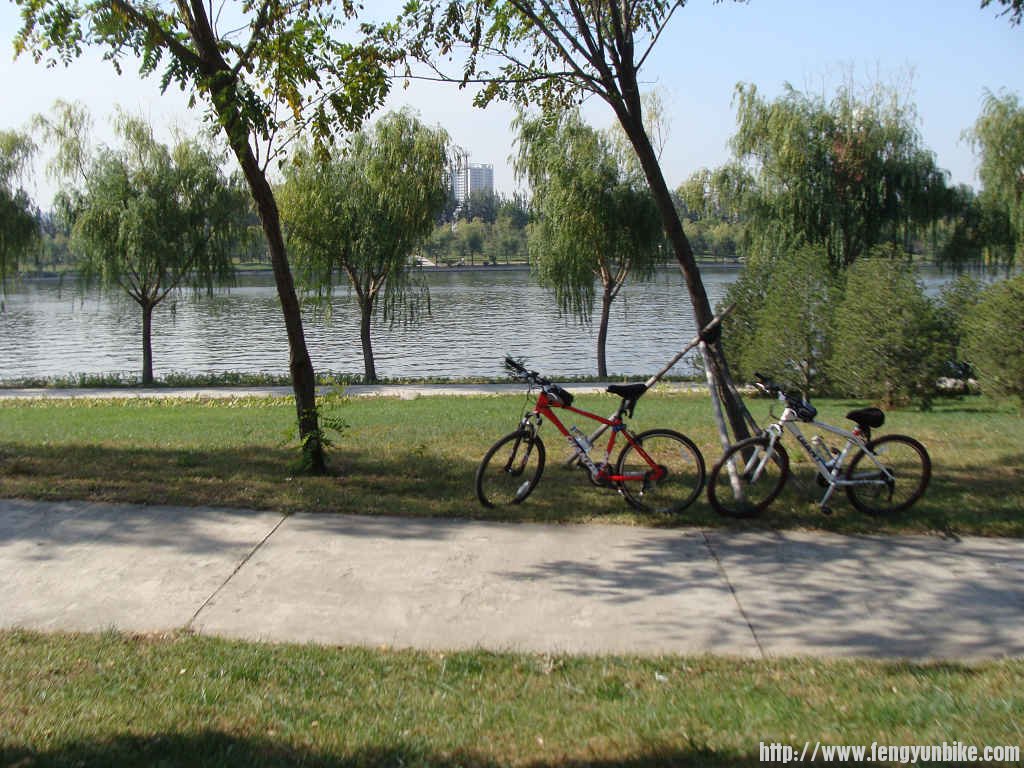 大运河森林公园