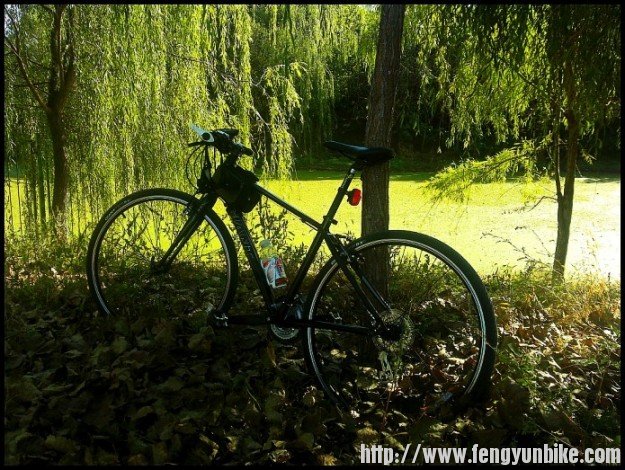 我的黑小黑与湿地合影留念1