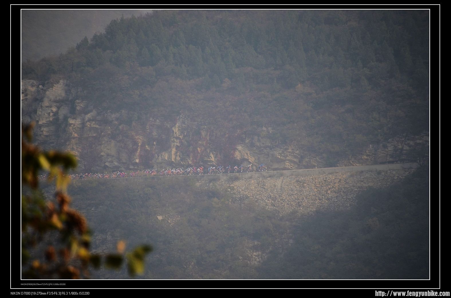 隐约可见对面山道中的大部队