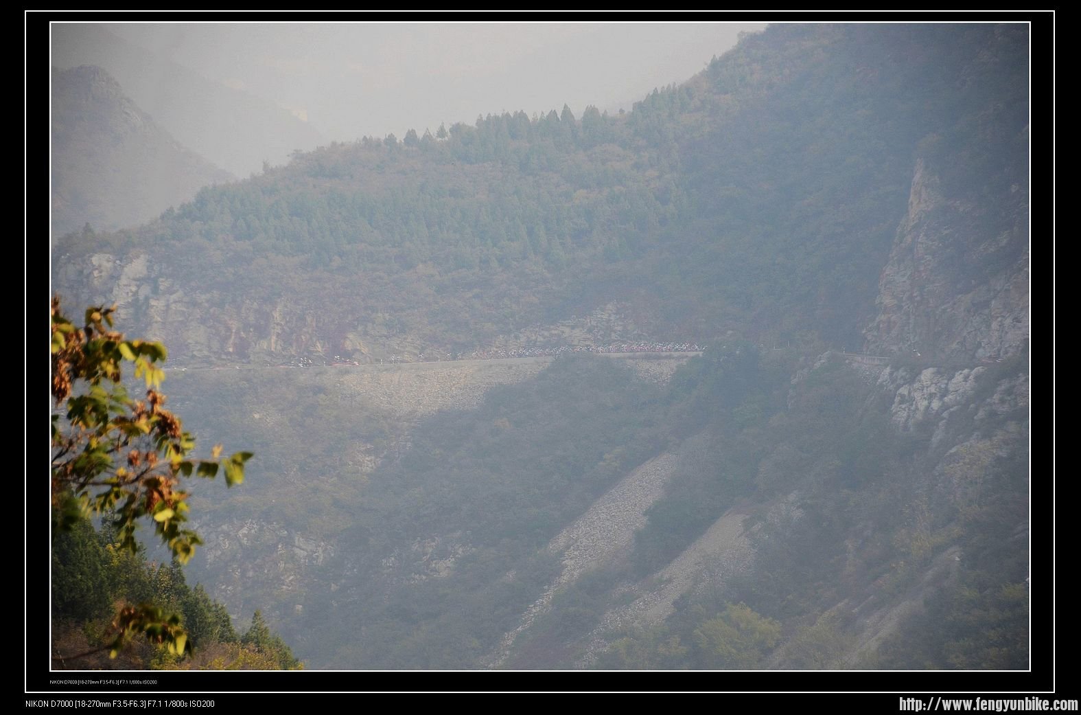 隐约可见对面山道中的大部队