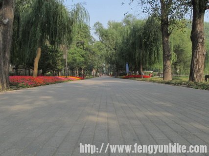 园内大路