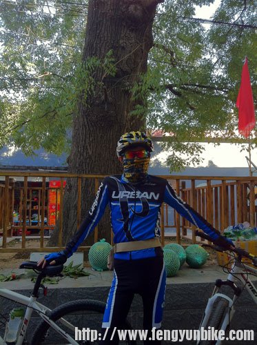 就餐发现院内的大树好粗！