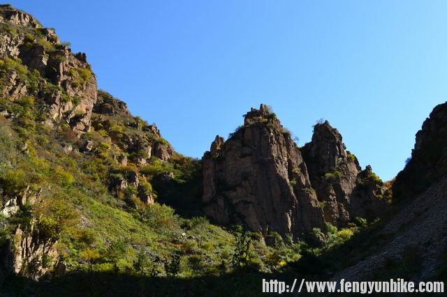 调整大小 DSC_0019.JPG