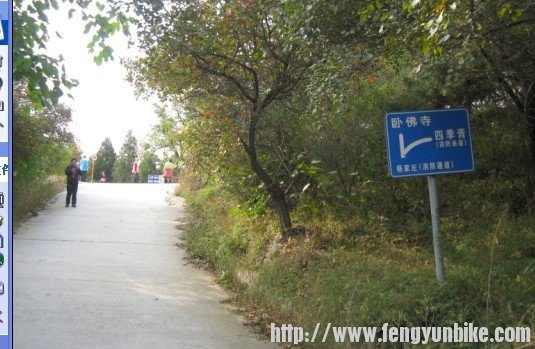 憋死猫十字路口(向右走)