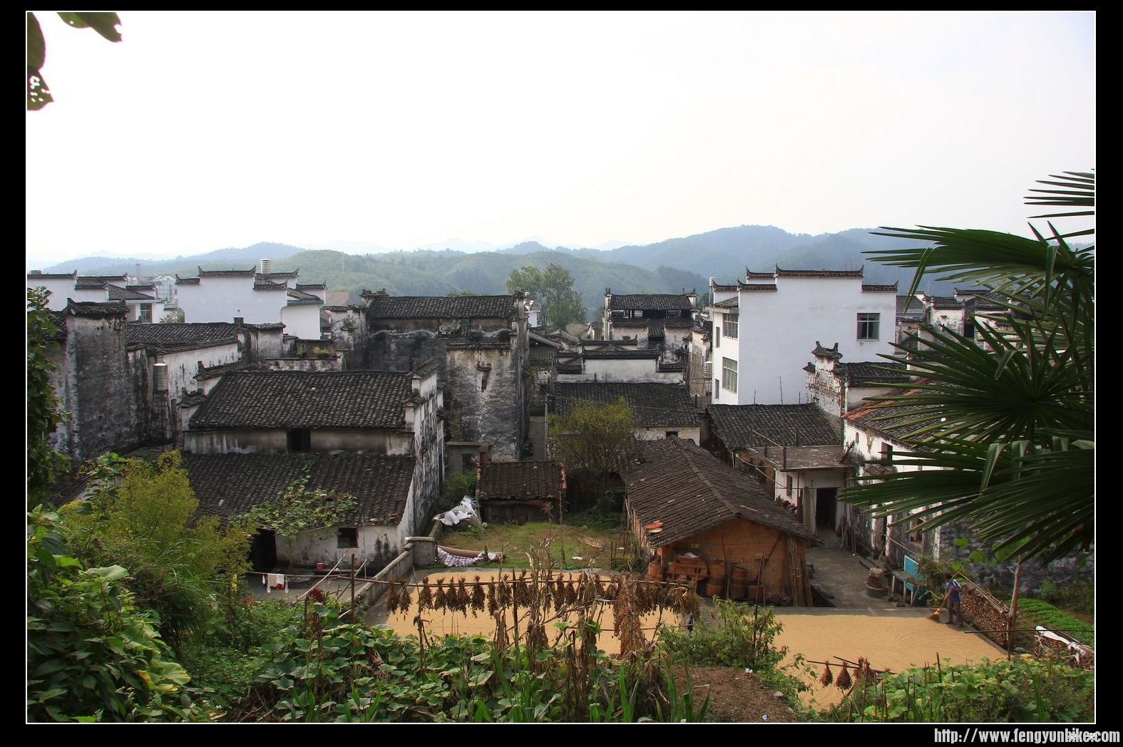 IMG_7299 - 副本.jpg