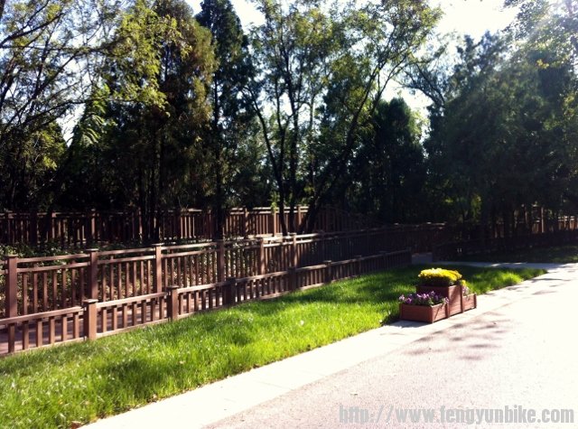 里面的栈道多好啊？