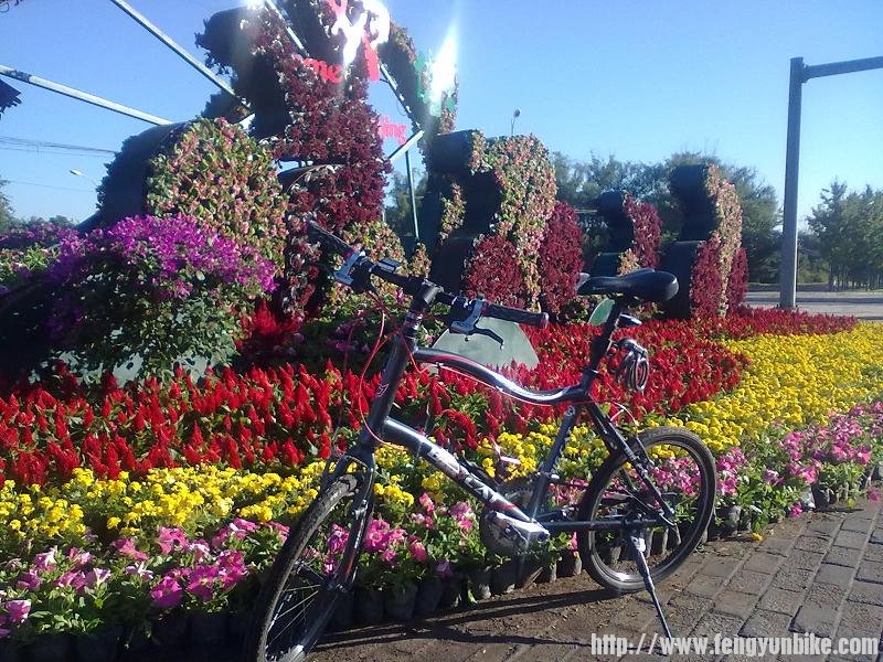 永丰路口的花坛