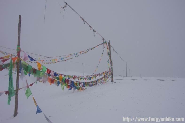 调整大小 IMGP2666.JPG