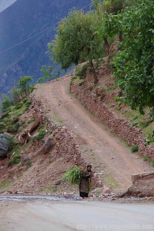 调整大小 IMGP2955.JPG