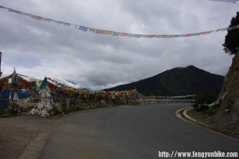 调整大小 IMGP3033.JPG