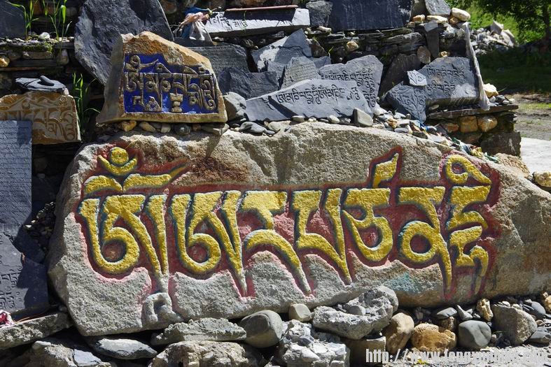 调整大小 IMGP0568.JPG