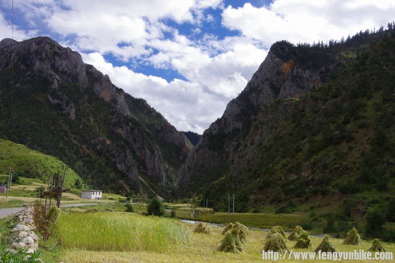 调整大小 IMGP3100.JPG