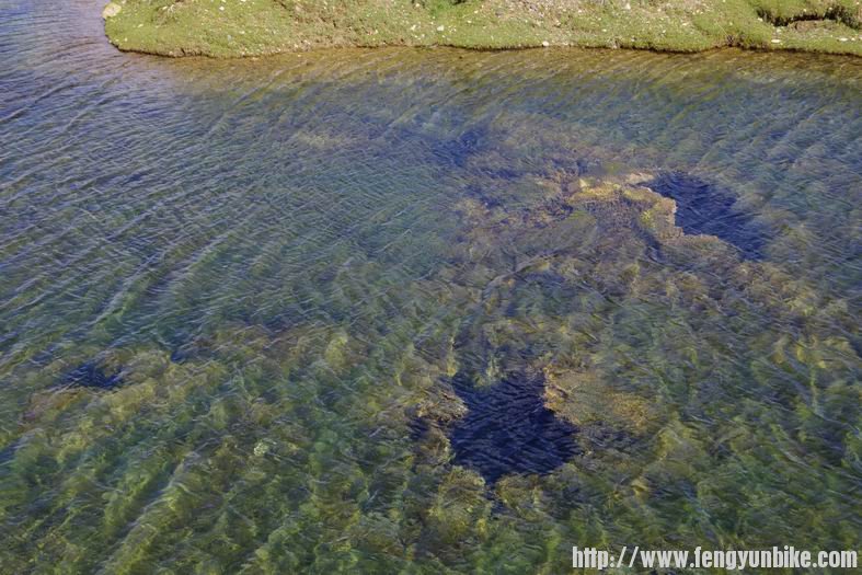 调整大小 IMGP3115.JPG